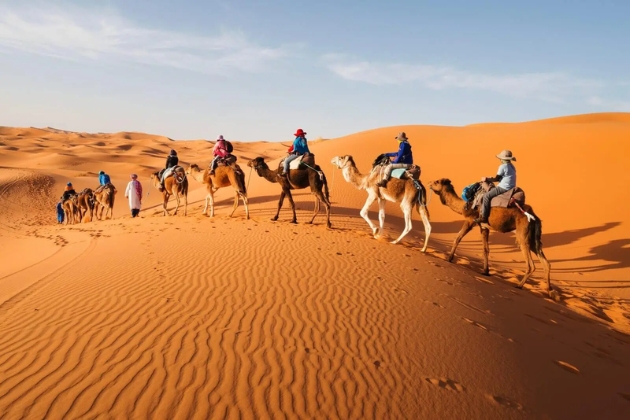 Tourists riding camels in a caravan through golden sand dunes during a serene Dubai desert sunset