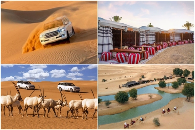 Desert safari adventures and camps in Dubai.