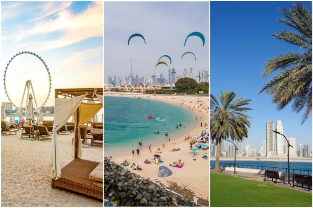 Relaxing Vibes on Dubai Shores