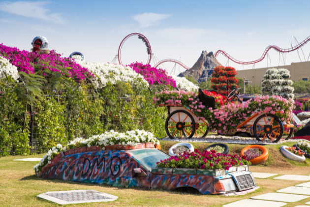 Dubai Miracle Garden with colourful floral displays and themed flower structures